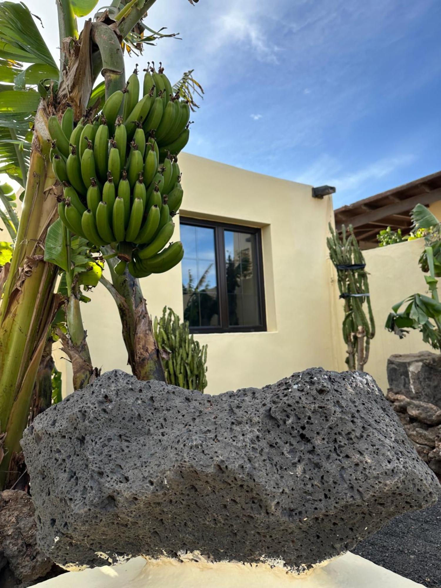 Apartamento Luxury Canarian With Large Pool In Costa Teguise Teguise (Lanzarote)